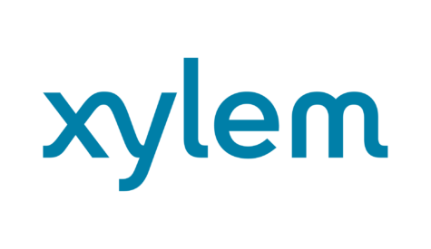 Xylem